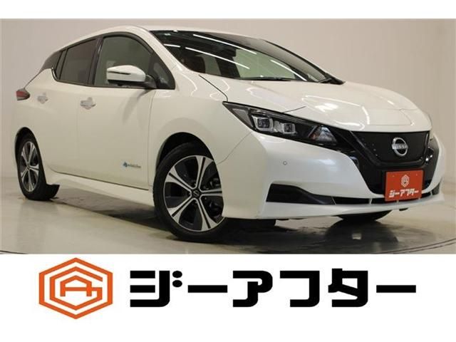 NISSAN / LEAF