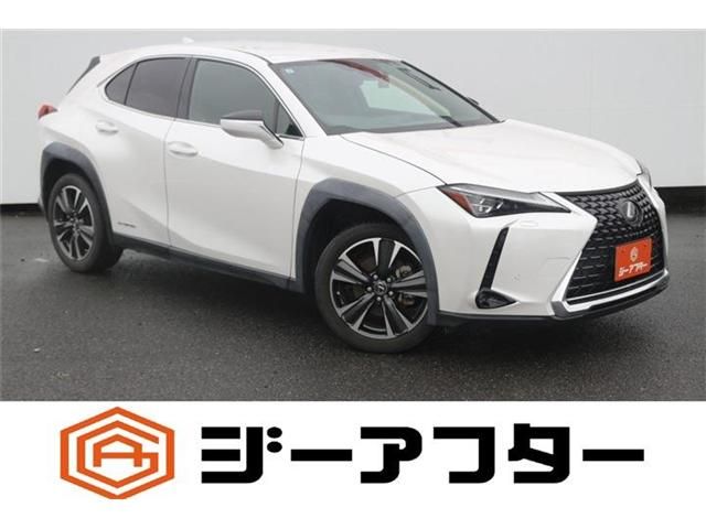 TOYOTA / LEXUS UX250h