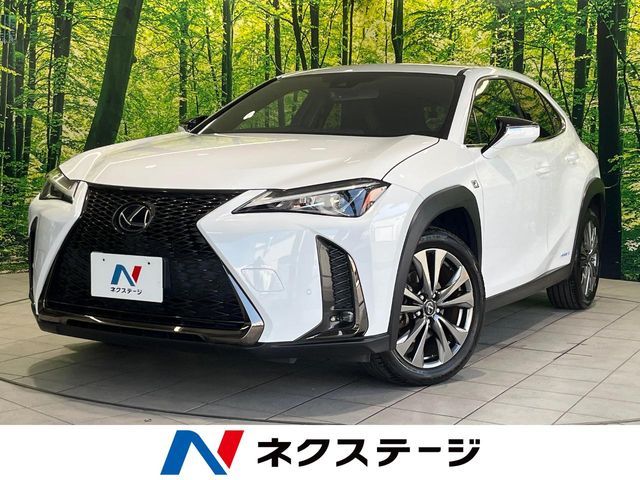 TOYOTA / LEXUS UX250h