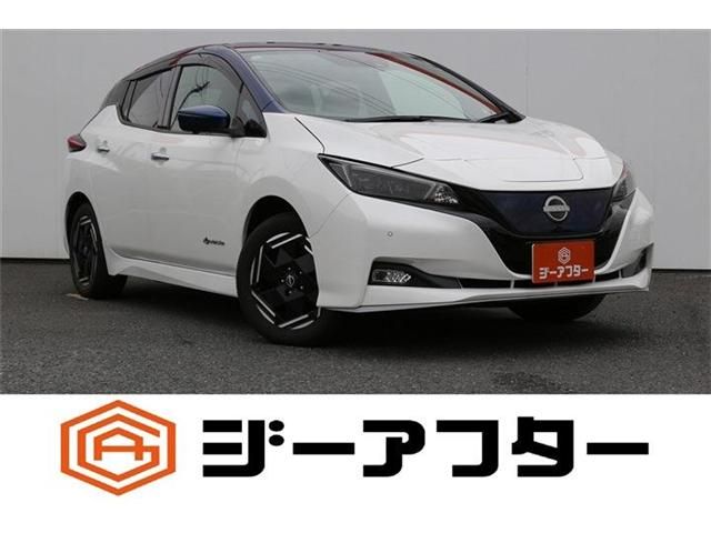 NISSAN / LEAF