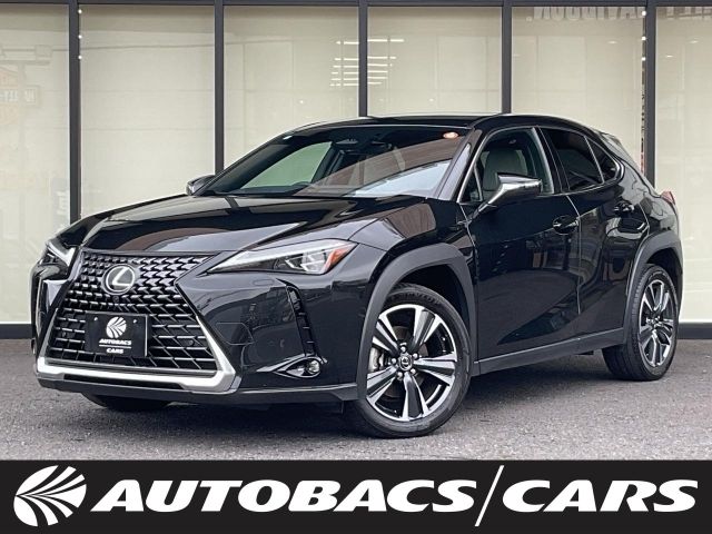 TOYOTA / LEXUS UX300h
