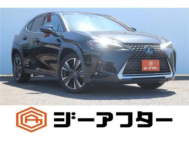 TOYOTA / LEXUS UX250h