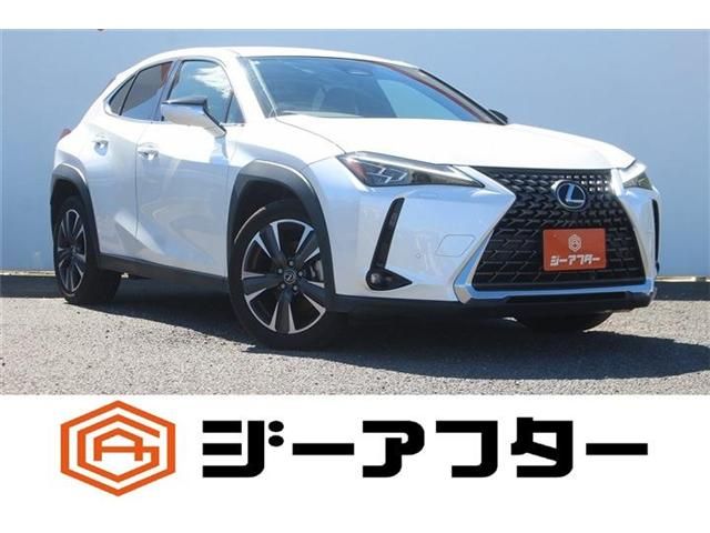 TOYOTA / LEXUS UX300h