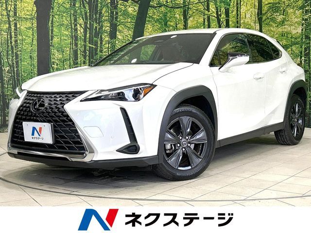 TOYOTA / LEXUS UX300h