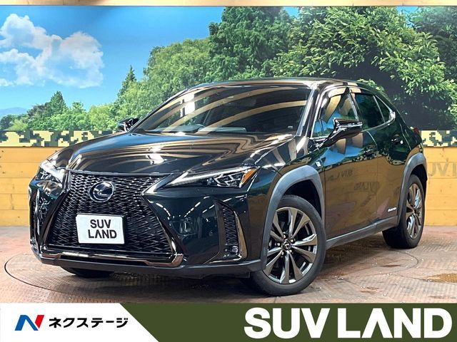 TOYOTA / LEXUS UX250h