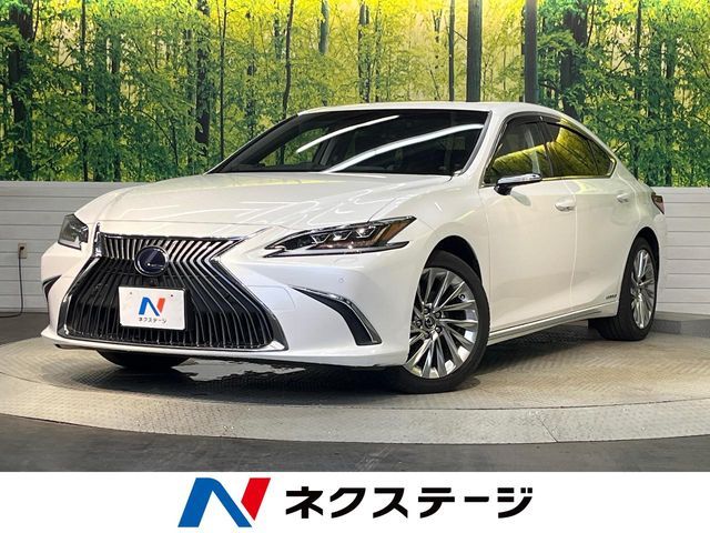 TOYOTA / LEXUS ES300h