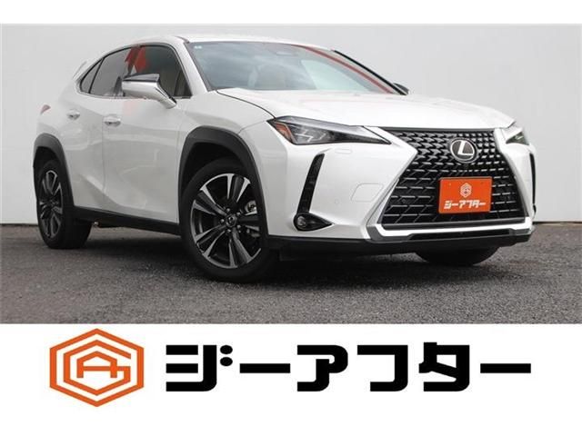 TOYOTA / LEXUS UX300h