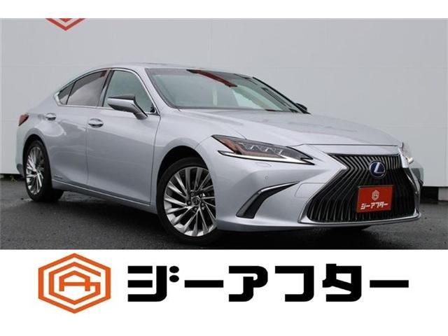 TOYOTA / LEXUS ES300h