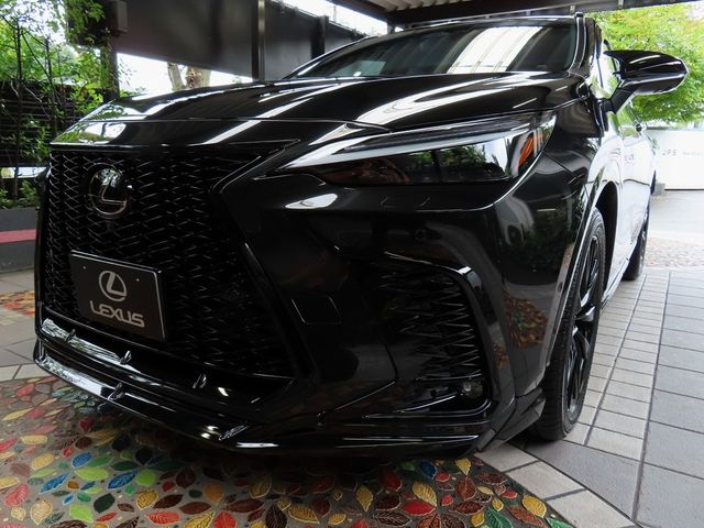 TOYOTA / LEXUS NX450h+ AWD