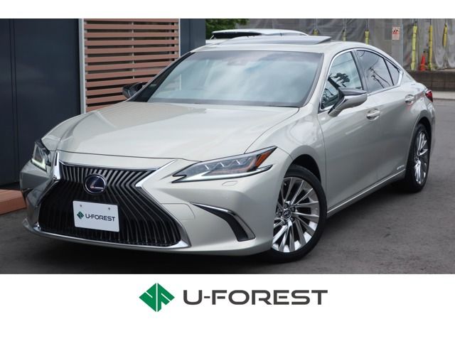 TOYOTA / LEXUS ES300h