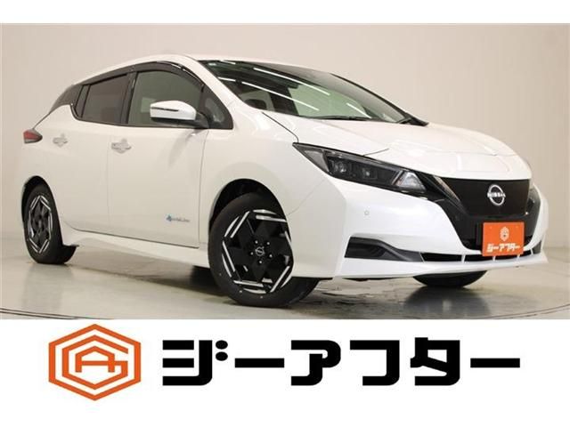 NISSAN / LEAF