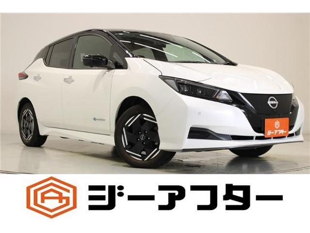 NISSAN / LEAF