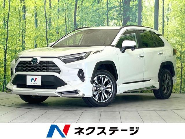 TOYOTA / RAV4 HYBRID 4WD