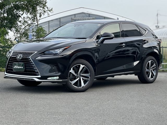 TOYOTA / LEXUS NX300