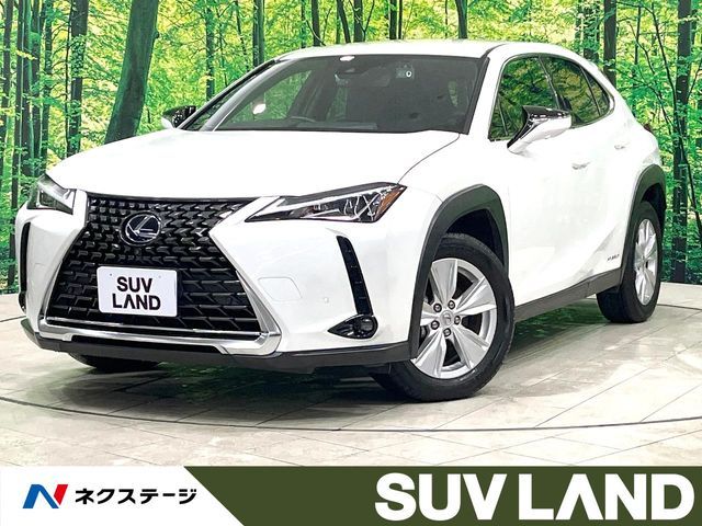 TOYOTA / LEXUS UX250h