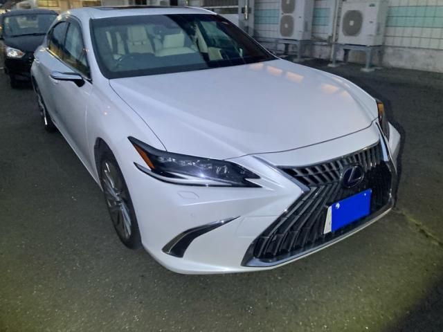 TOYOTA / LEXUS ES300h
