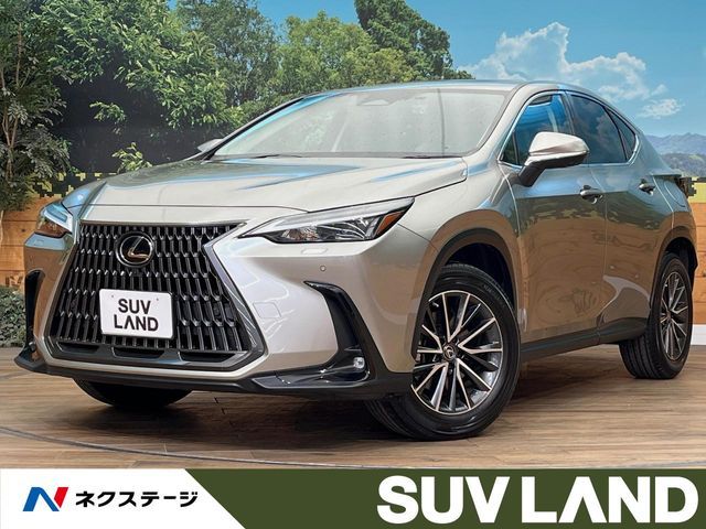 TOYOTA / LEXUS NX250 AWD