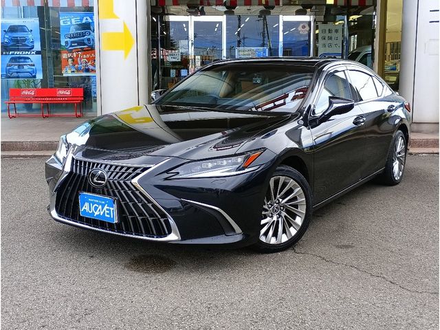 TOYOTA / LEXUS ES300h