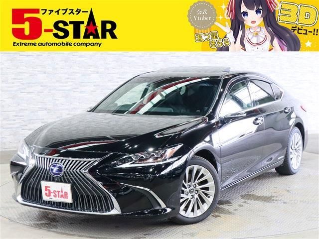 TOYOTA / LEXUS ES300h