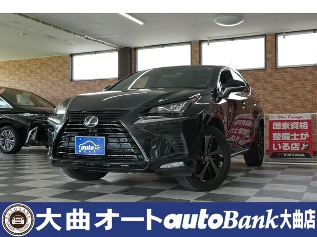 TOYOTA / LEXUS NX300 AWD