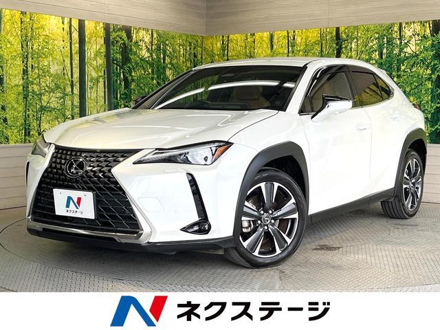 TOYOTA / LEXUS UX300h