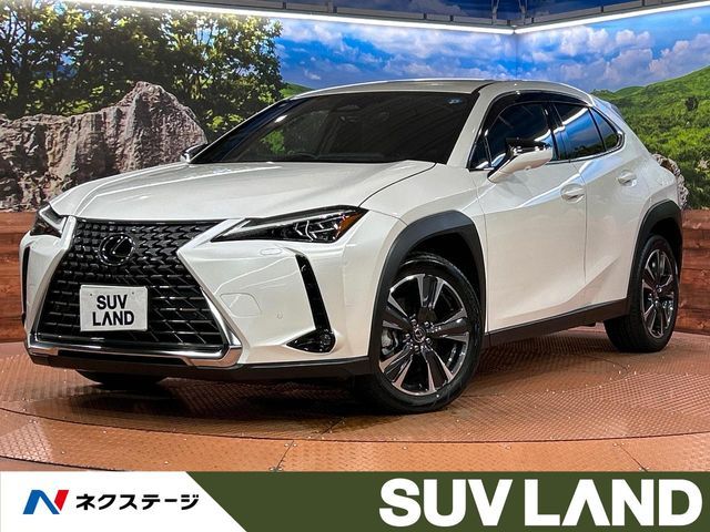 TOYOTA / LEXUS UX300h