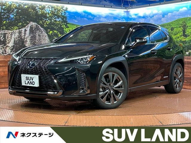 TOYOTA / LEXUS UX250h