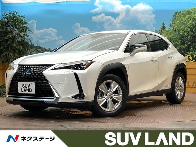 TOYOTA / LEXUS UX250h