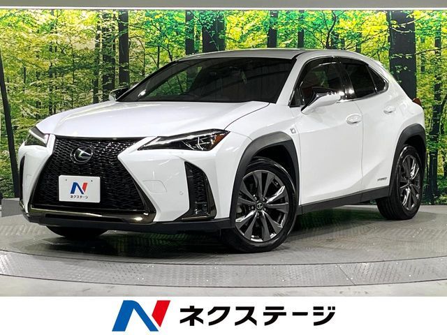 TOYOTA / LEXUS UX250h