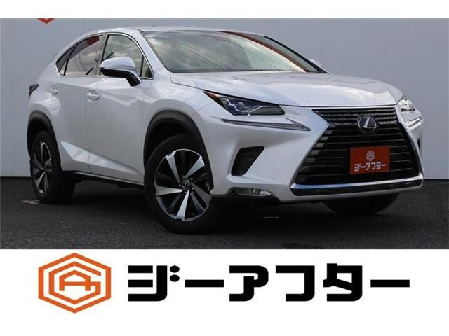 TOYOTA / LEXUS NX300