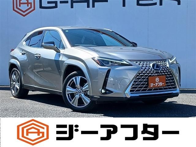 TOYOTA / LEXUS UX250h