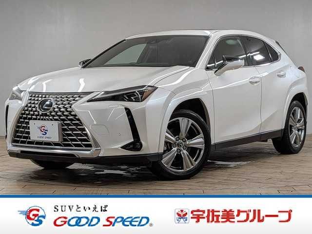 TOYOTA / LEXUS UX250h