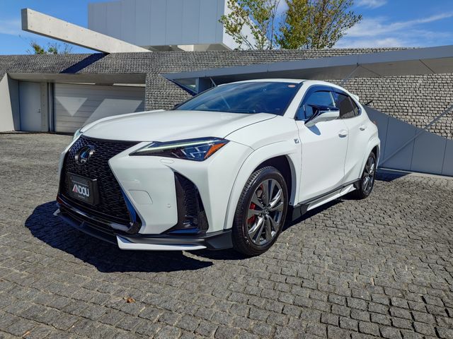 TOYOTA / LEXUS UX250h