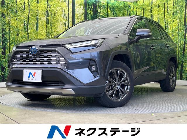 TOYOTA / RAV4 HYBRID 4WD