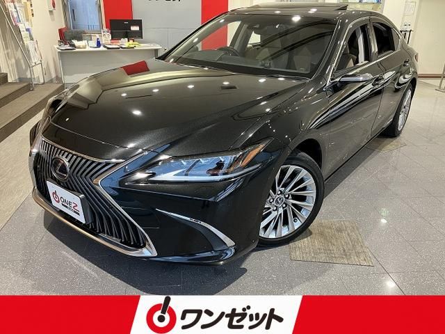 TOYOTA / LEXUS ES300h