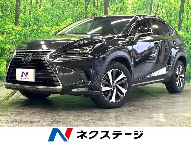 TOYOTA / LEXUS NX300