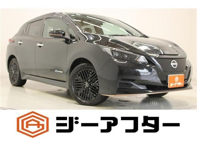 NISSAN / LEAF