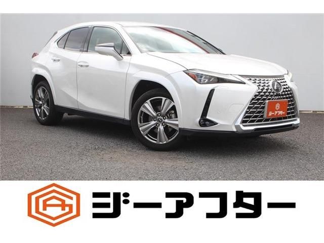 TOYOTA / LEXUS UX250h
