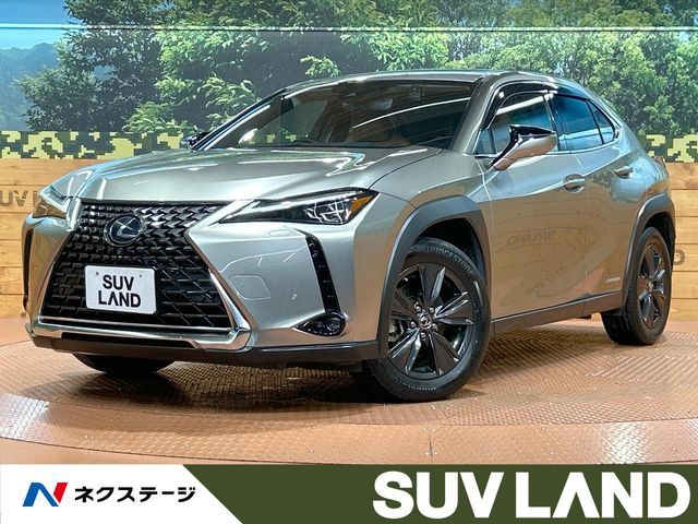 TOYOTA / LEXUS UX250h