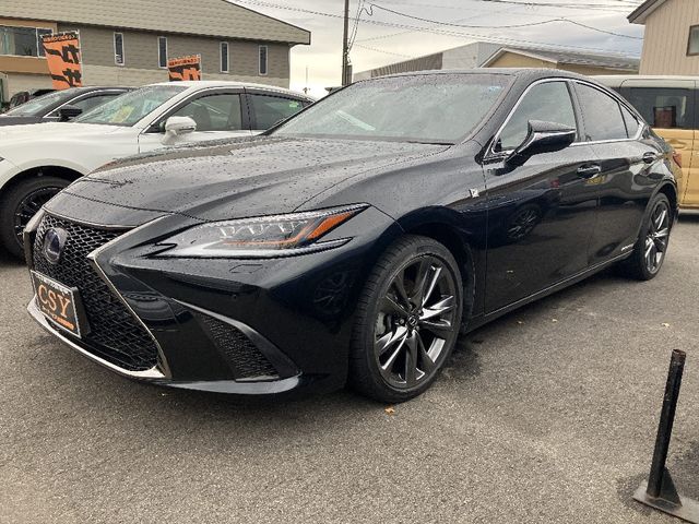 TOYOTA / LEXUS ES300h
