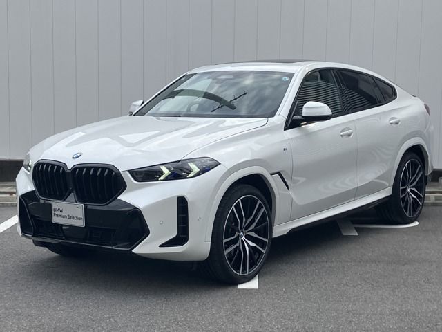 BMW / BMW X6