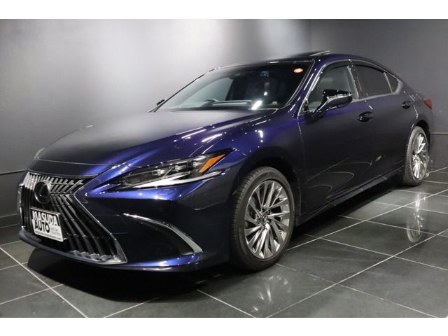 TOYOTA / LEXUS ES300h