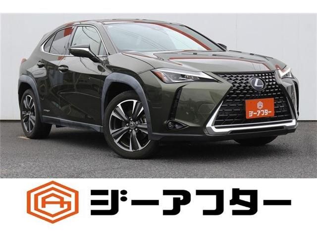 TOYOTA / LEXUS UX250h