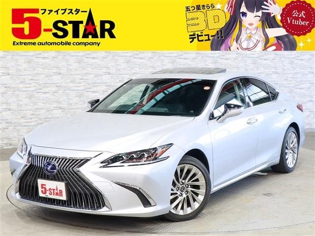 TOYOTA / LEXUS ES300h