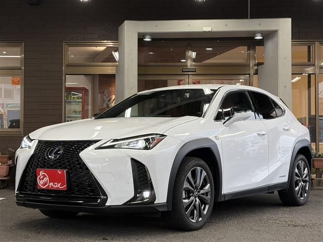 TOYOTA / LEXUS UX250h