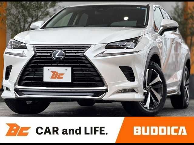 TOYOTA / LEXUS NX300h