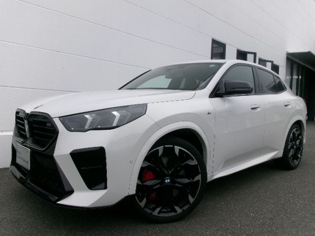 BMW / BMW X2