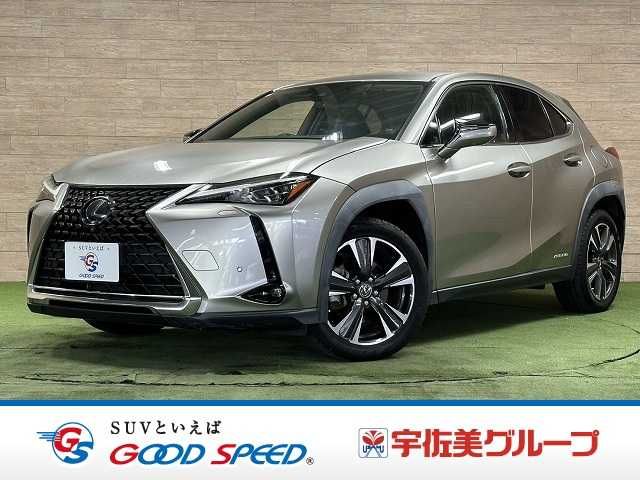 TOYOTA / LEXUS UX250h