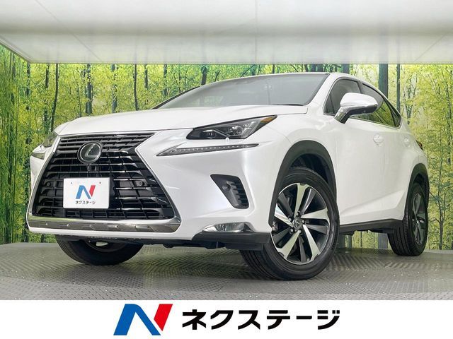 TOYOTA / LEXUS NX300