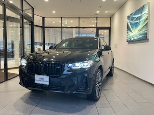 BMW / BMW X4